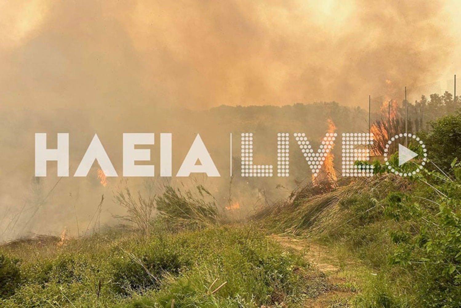 Ηλεία: Φωτιά στην περιοχή Σχίνοι Ζαχάρως