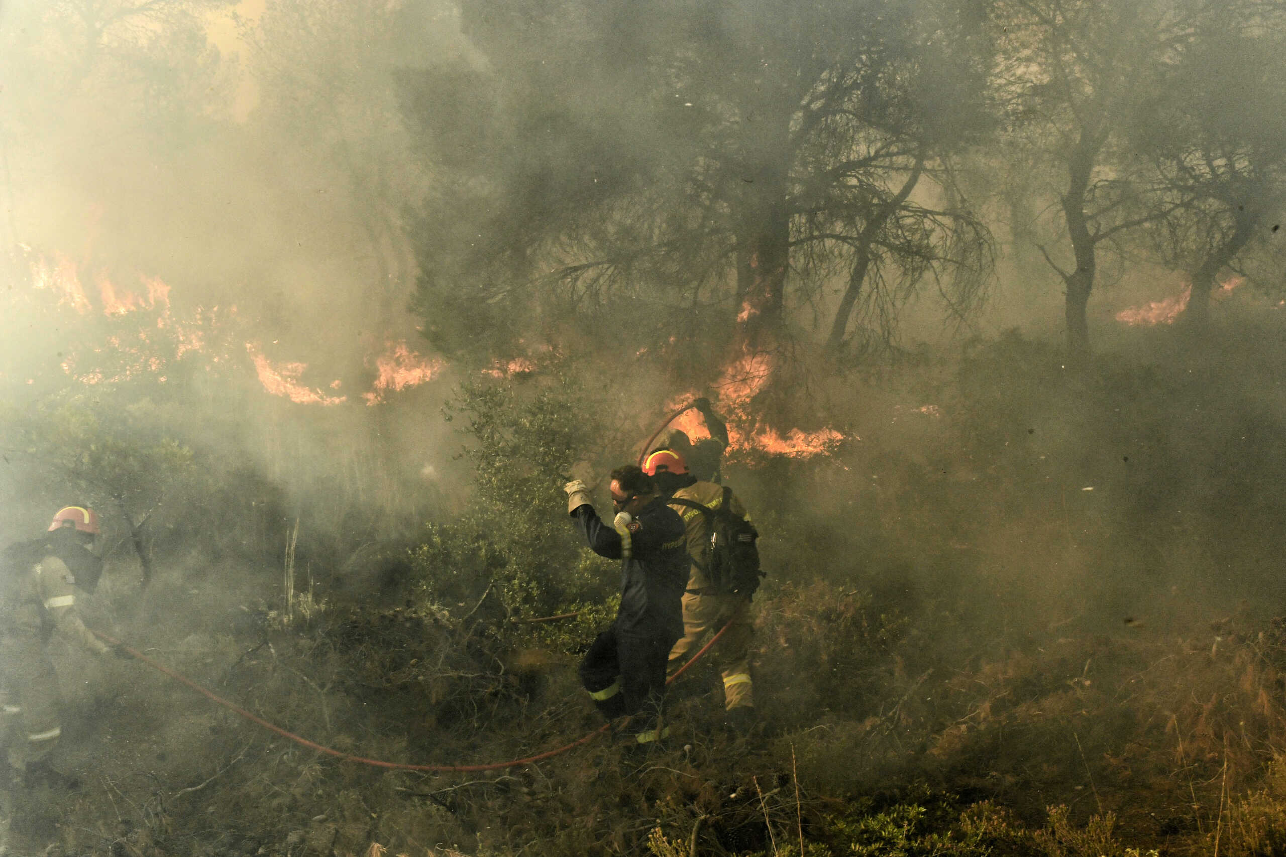ΦΩΤΙΑ ΣΕ ΔΑΣΙΚΗ ΕΚΤΑΣΗ ΣΤΗ ΚΑΛΛΙΘΕΑ ΛΟΥΤΡΑΚΙΟΥ (EUROKINISSI