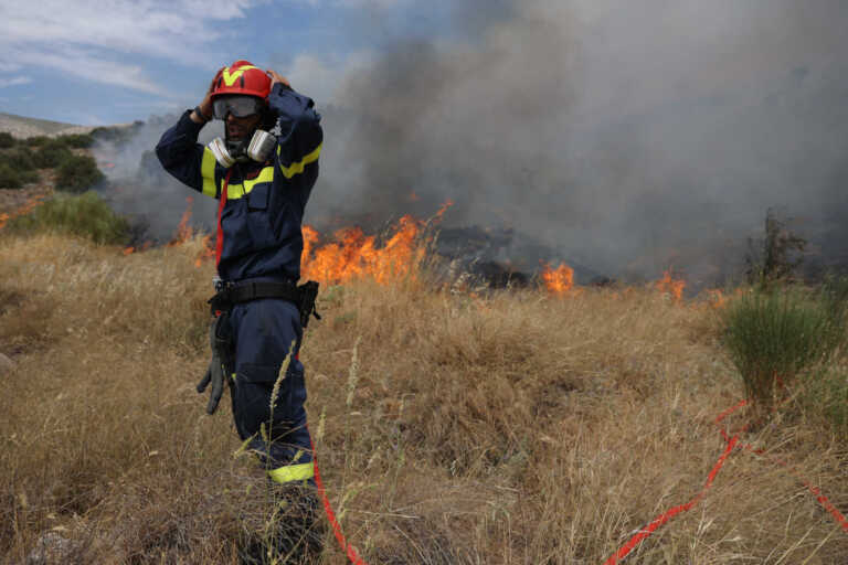 Σε εξέλιξη από χτες η φωτιά σε δασική έκταση στη Σαρακατσάνα - Δίνεται μάχη για κατάσβεση