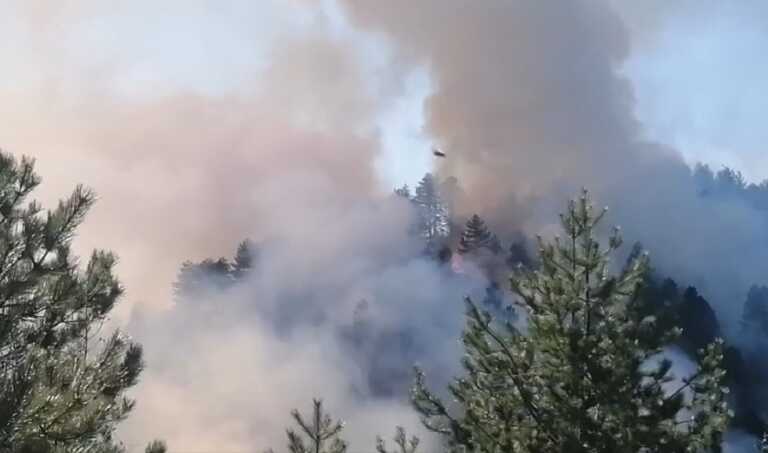 Φωτιά σε δάσος στον Γράμμο στην περιοχή Μονόπυλο