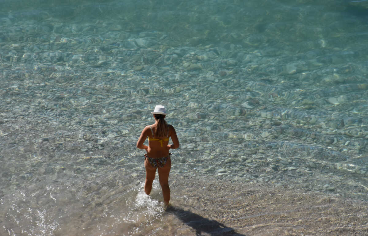 Βόλος: Φίδι δάγκωσε γυναίκα μέσα στη θάλασσα σε παραλία της Αγριάς