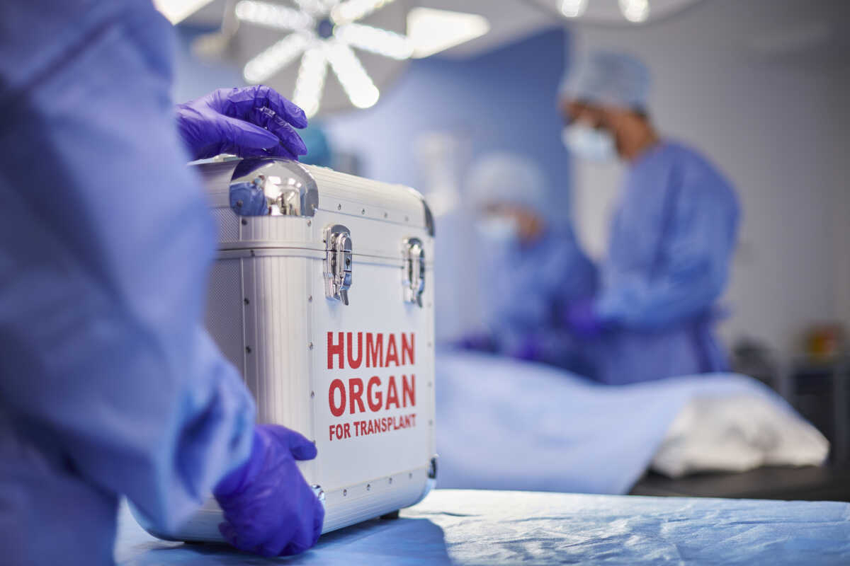 organ transplant surgery
