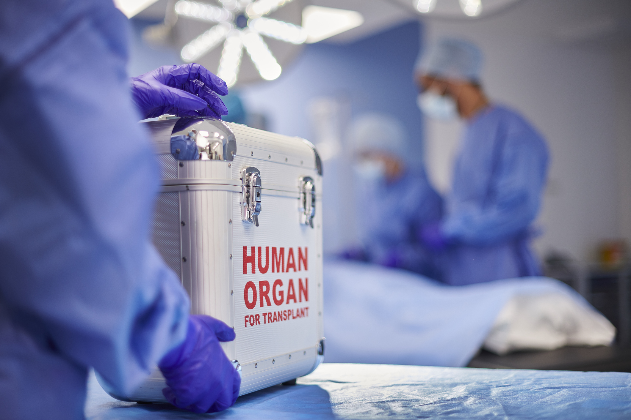 organ transplant surgery