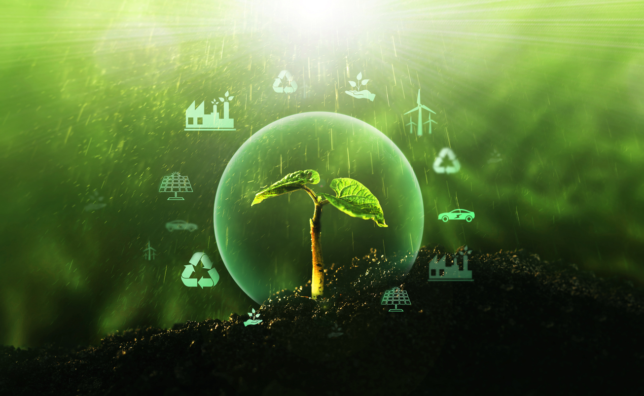 Sources for renewable, sustainable development. Environment and  ecology  concept