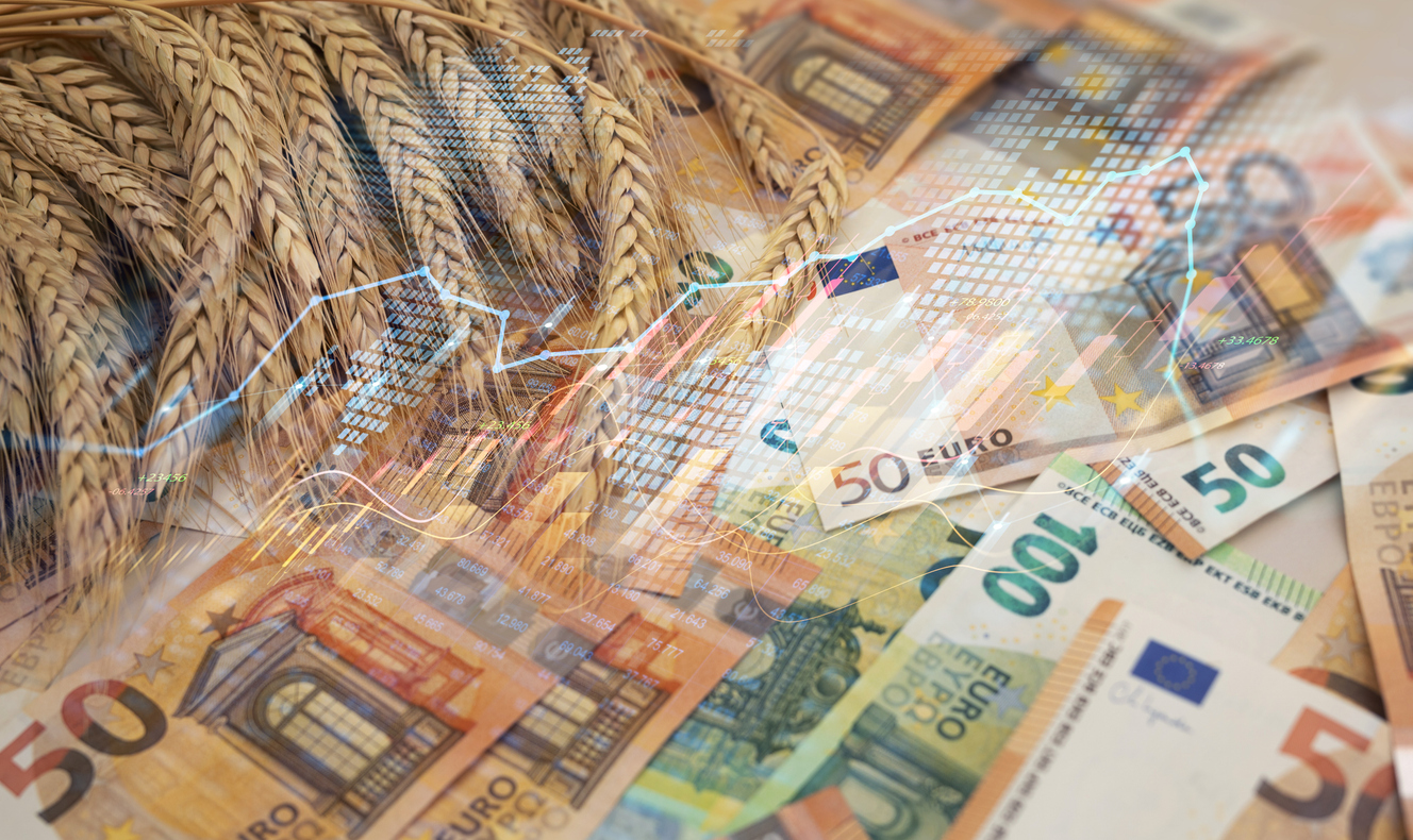 Increase in the price of wheat and cereals due to the conflict. from Europe and sanctions.
World records for wheat prices and possible worldwide food crisis.