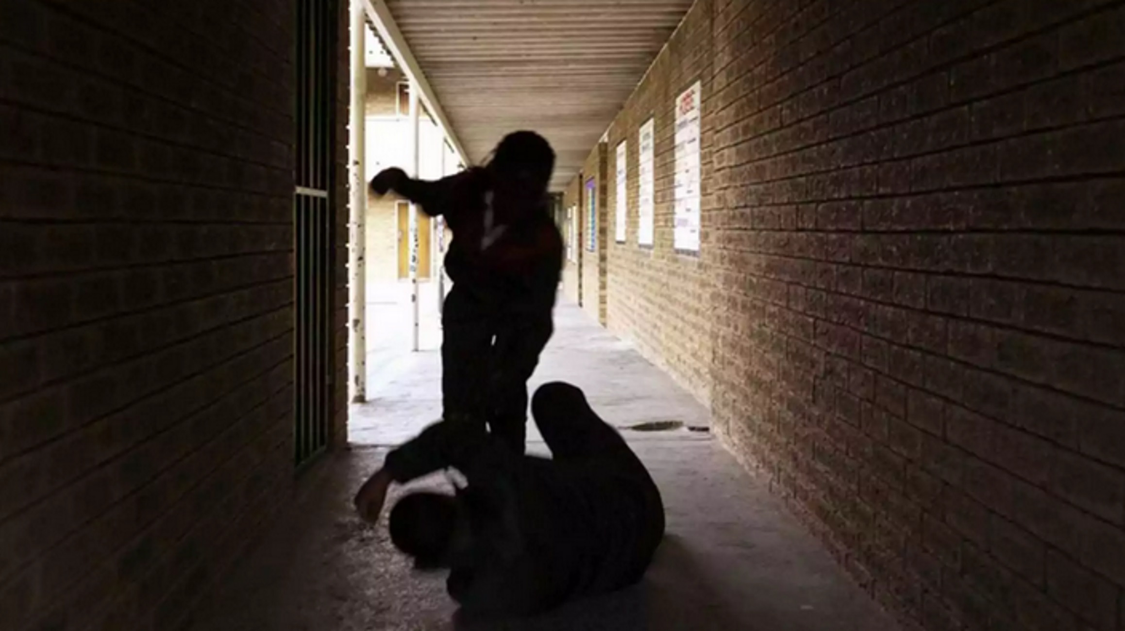 Σέρρες: Διεύθυνση σχολείου επιβεβαιώνει τον ξυλοδαρμό 15χρονης μαθήτριας, ανέβηκε το βίντεο στο Instagram