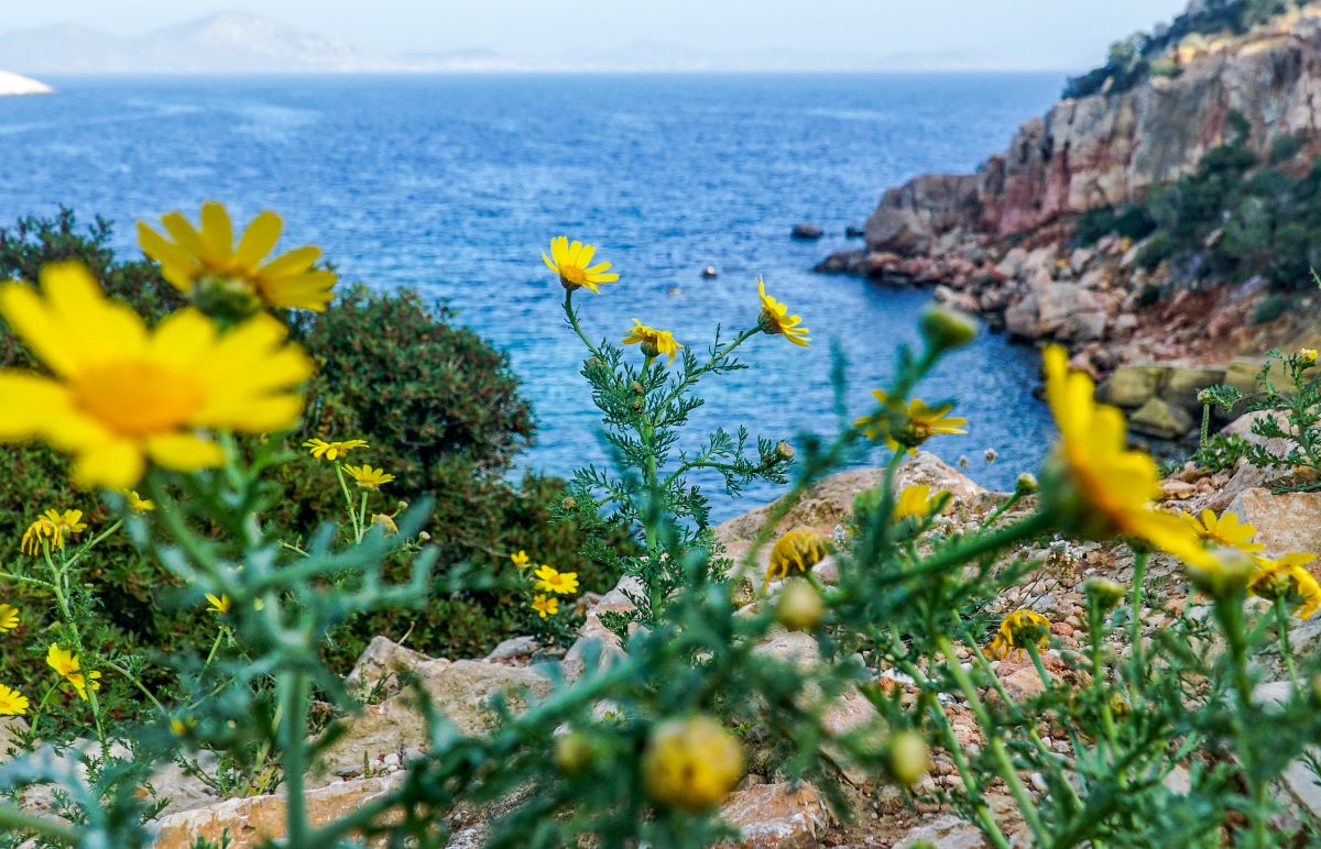 Ο καιρός αύριο: Μέχρι 28 βαθμούς η θερμοκρασία