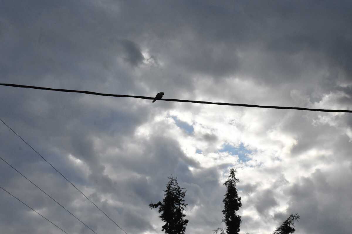 ΑΡΓΟΛΙΔΑ - ΚΑΙΡΟΣ. (ΒΑΣΙΛΗΣ ΠΑΠΑΔΟΠΟΥΛΟΣ