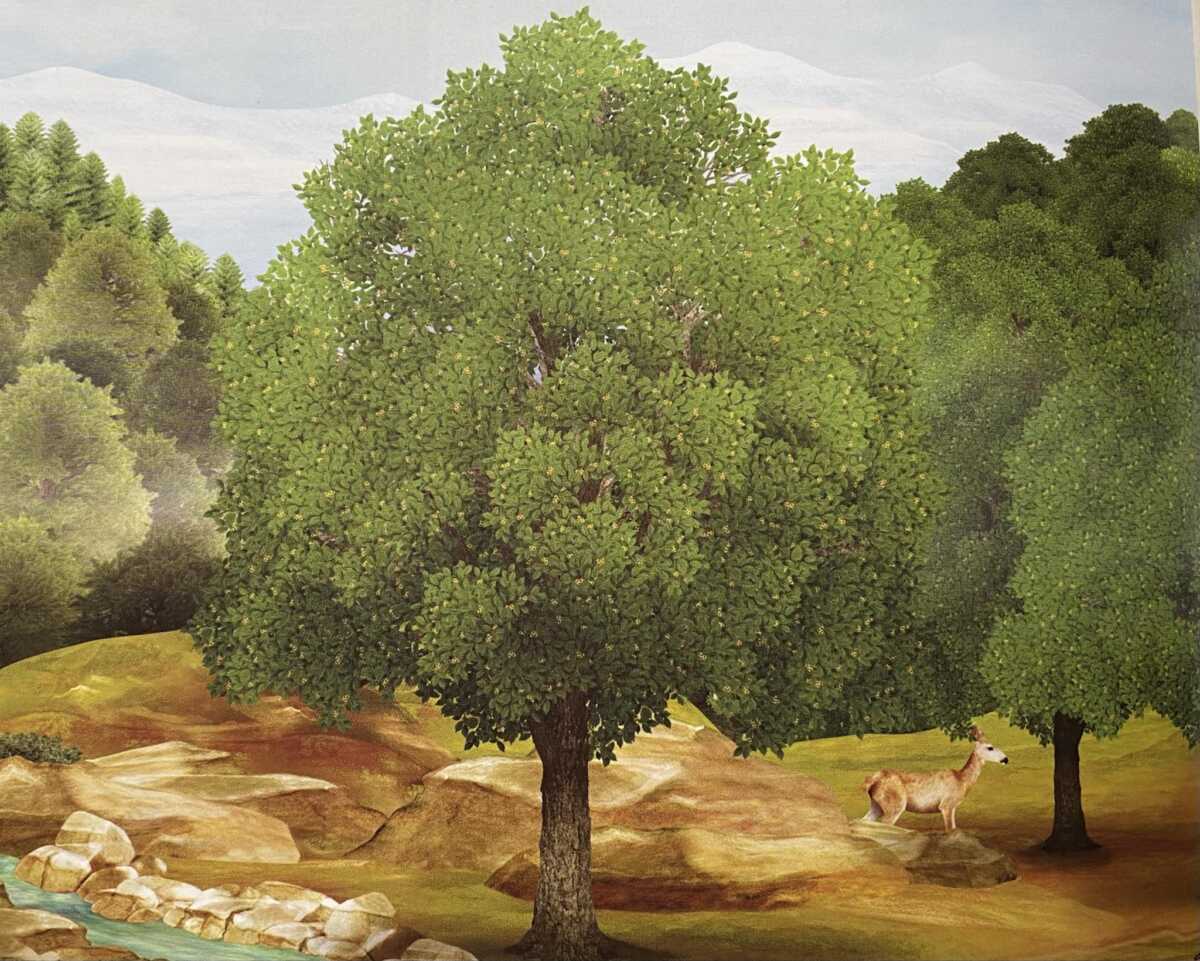 Θεσσαλονίκη: Αυτά είναι τα ελάχιστα καραγάτσια που παραμένουν στην πόλη