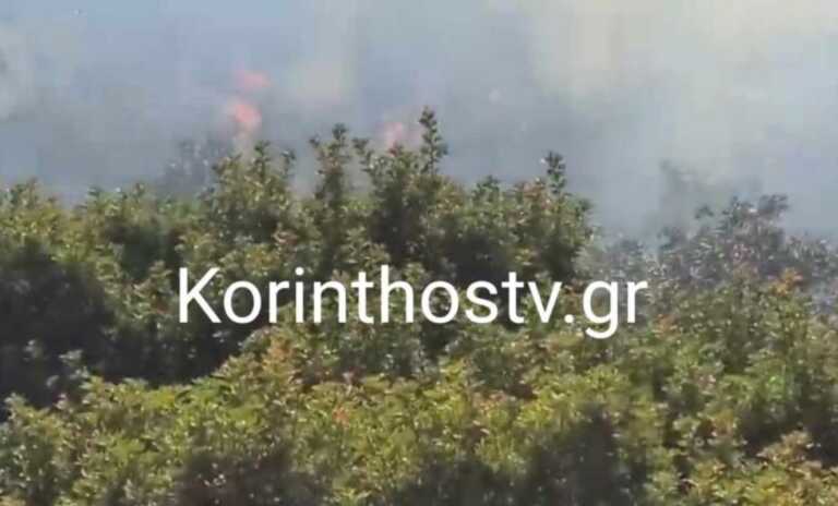 Φωτιά στην Κορινθία στην περιοχή Μπολάτι