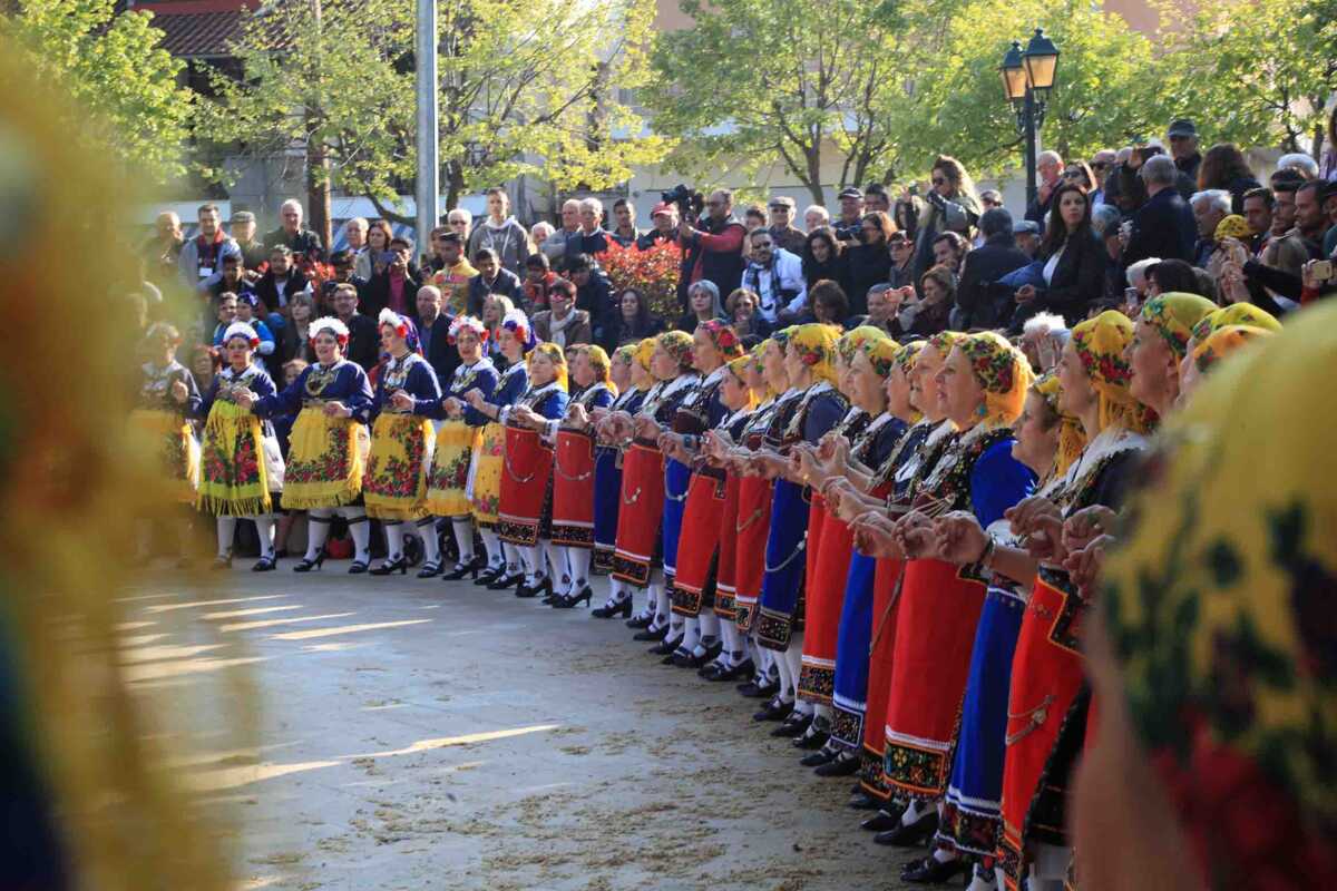 Κοζάνη: Οι Λαζαρίνες που μαγνητίζουν τα βλέμματα μικρών και μεγάλων