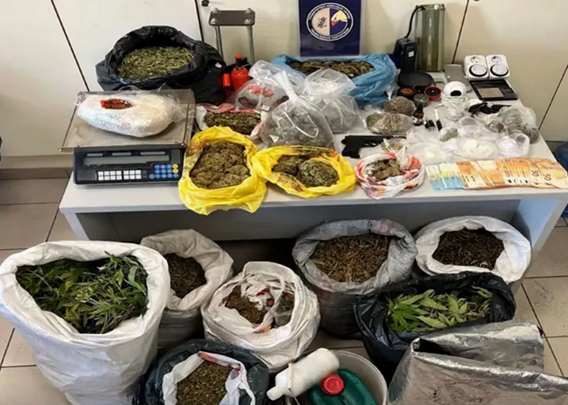 Ελασσόνα: Σύλληψη για ναρκωτικά μετά από αυτοψία αστυνομικών στον χώρο που τα καλλιεργούσε