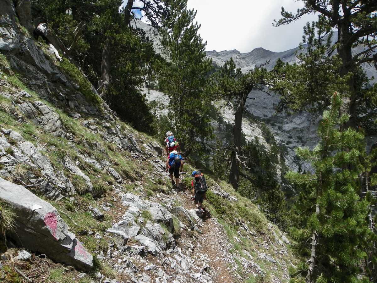 Γιάννενα: Επιχείρηση για τον εντοπισμό 12 Γερμανών ορειβατών – Πυροσβεστική και ΕΜΑΚ στο σημείο, βρέθηκαν σώοι