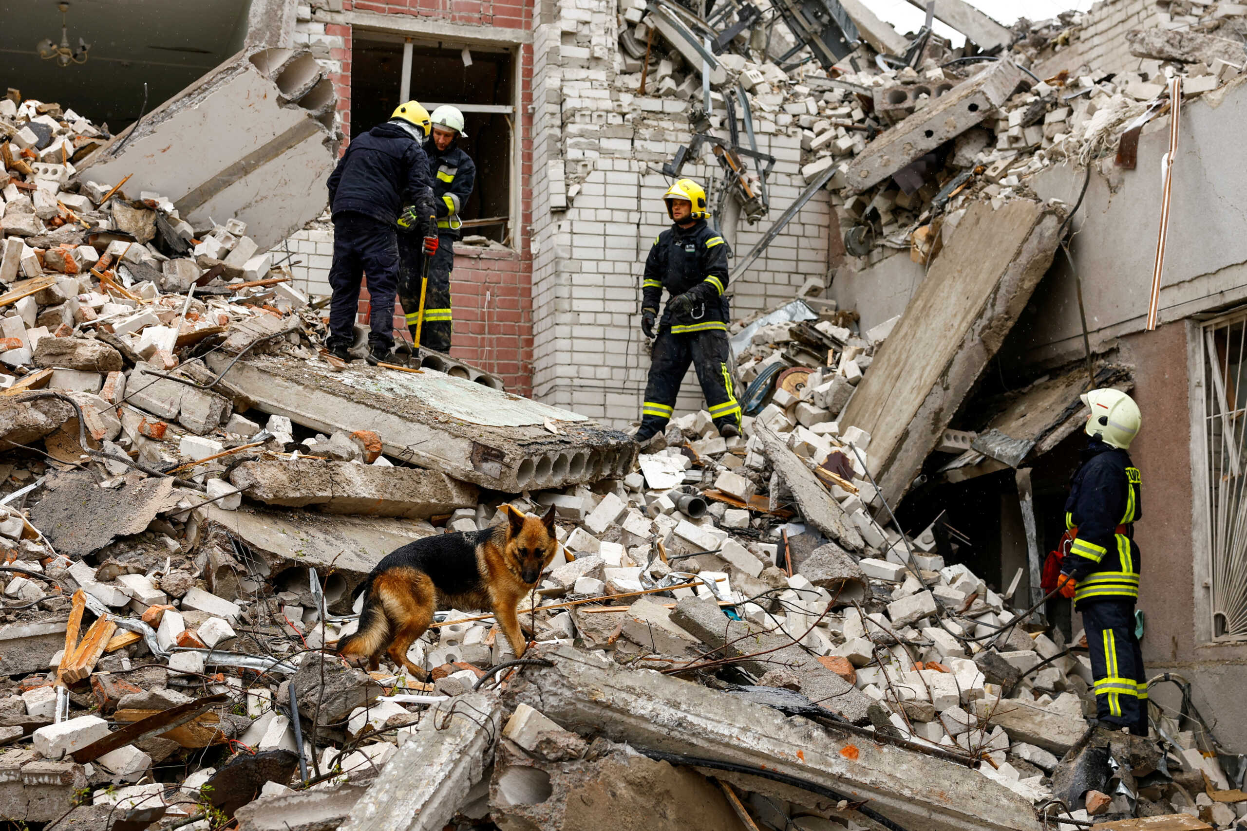 A dog stands on rubble as rescuers work at the site of a destroyed building during a Russian missile strike, amid Russia's attacks on Ukraine, in Chernihiv, Ukraine April 17, 2024. REUTERS