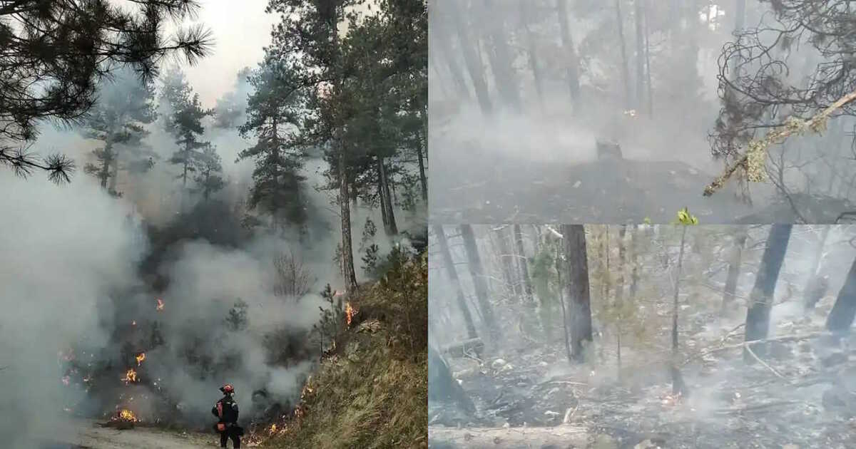 Πιέρια όρη: Μαίνεται η φωτιά σε υψόμετρο 2.000 μέτρων