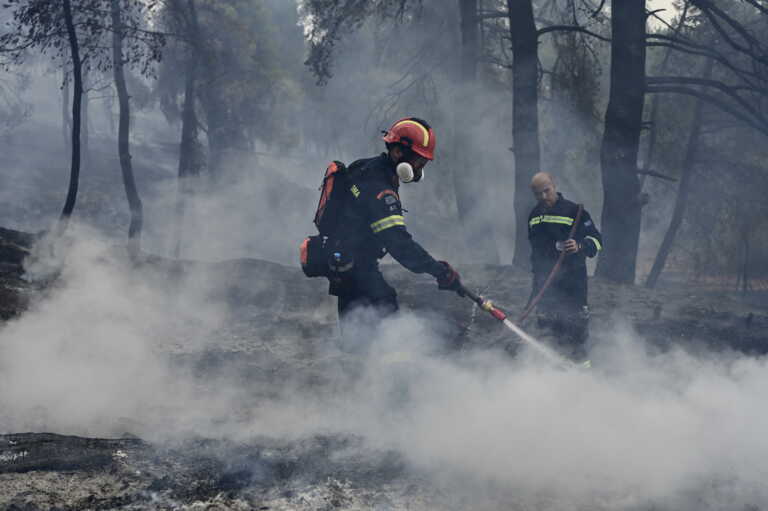 49 πυρκαγιές σημειώθηκαν το τελευταίο 24ωρο σύμφωνα με την Πυροσβεστική