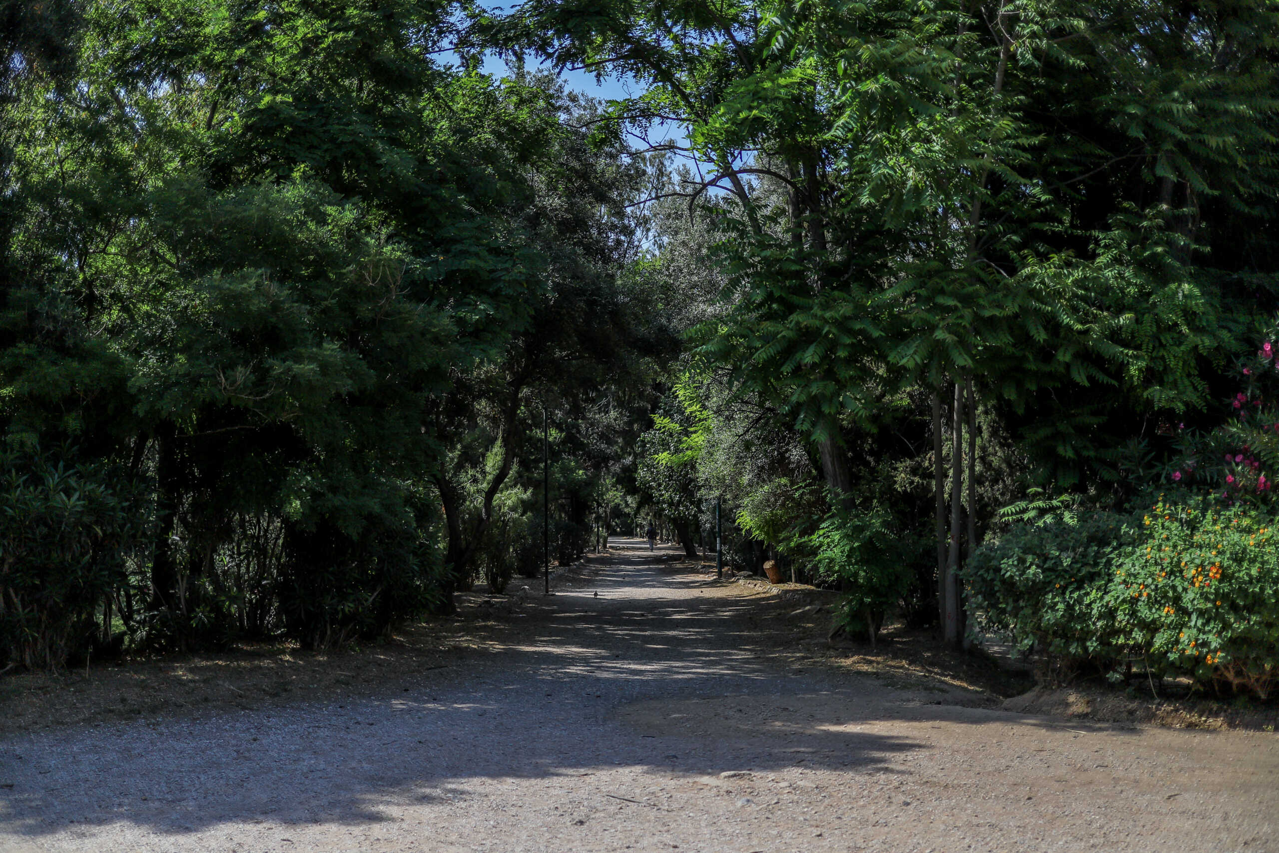 Πρόεδρος αρχαιολόγων για τον τάφο του Πλάτωνα: Ήταν γνωστό ότι βρίσκεται εκεί – Η τεχνολογία έκανε τη διαφορά για την ανάγνωση του παπύρου