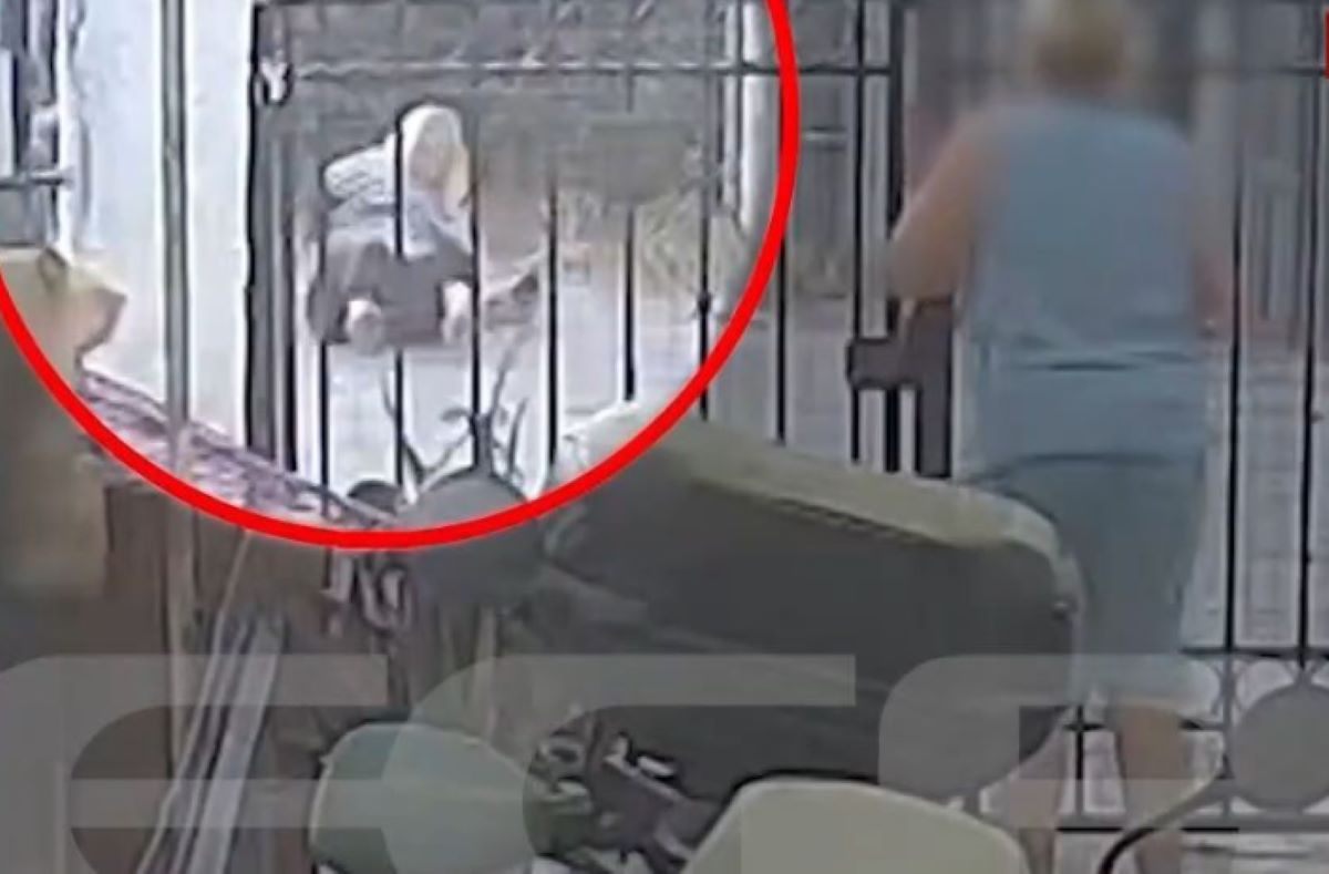 Σαλαμίνα: Αστυνομικός εκτός υπηρεσίας ξυλοκόπησε ζευγάρι – Σοκαριστικό βίντεο