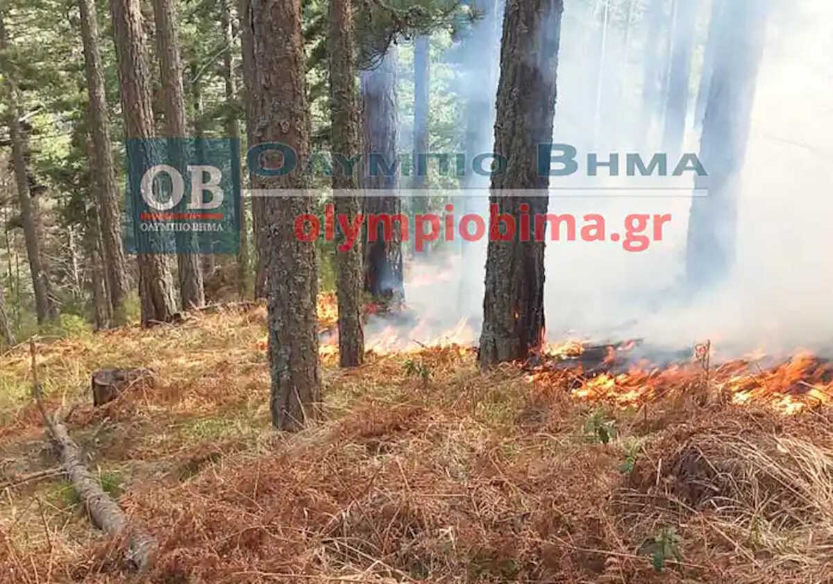 Φωτιά στα Πιέρια Όρη: Καίγονται δασικές εκτάσεις για τρίτη συνεχόμενη μέρα