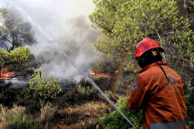 Κορινθία: Φωτιά σε δασική έκταση στο Λουτράκι