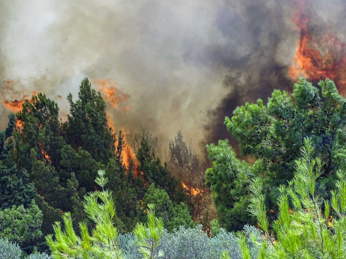 Στιγμιότυπο από την πυρκαγιά στην Ρόδο, Κυριακή 1 Αυγούστου 2021. Στα μέτωπα της πυρκαγιάς επιχειρούν 103 πυροσβέστες με 6 ομάδες πεζοπόρων τμημάτων και 20 οχήματα, ενώ κινητοποιήθηκαν 3 Α
(EUROKINISSI