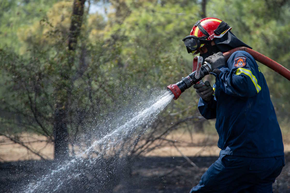 Γιάννενα: Στη φυλακή για εμπρησμό δάσους στο χωριό Καλέντζι – Του επιβλήθηκε και πρόστιμο