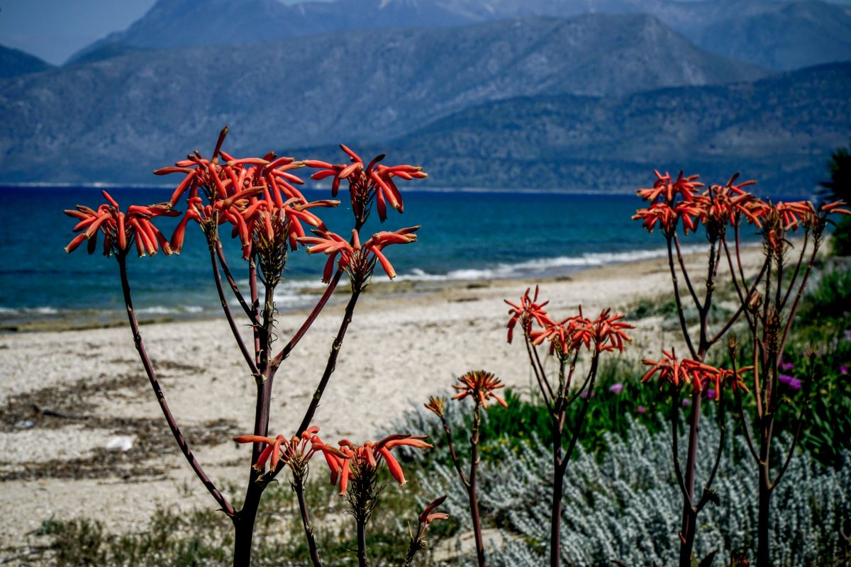 Meteo: Σε ποια περιοχή ο υδράργυρος άγγιξε τους 30 βαθμούς τη Δευτέρα