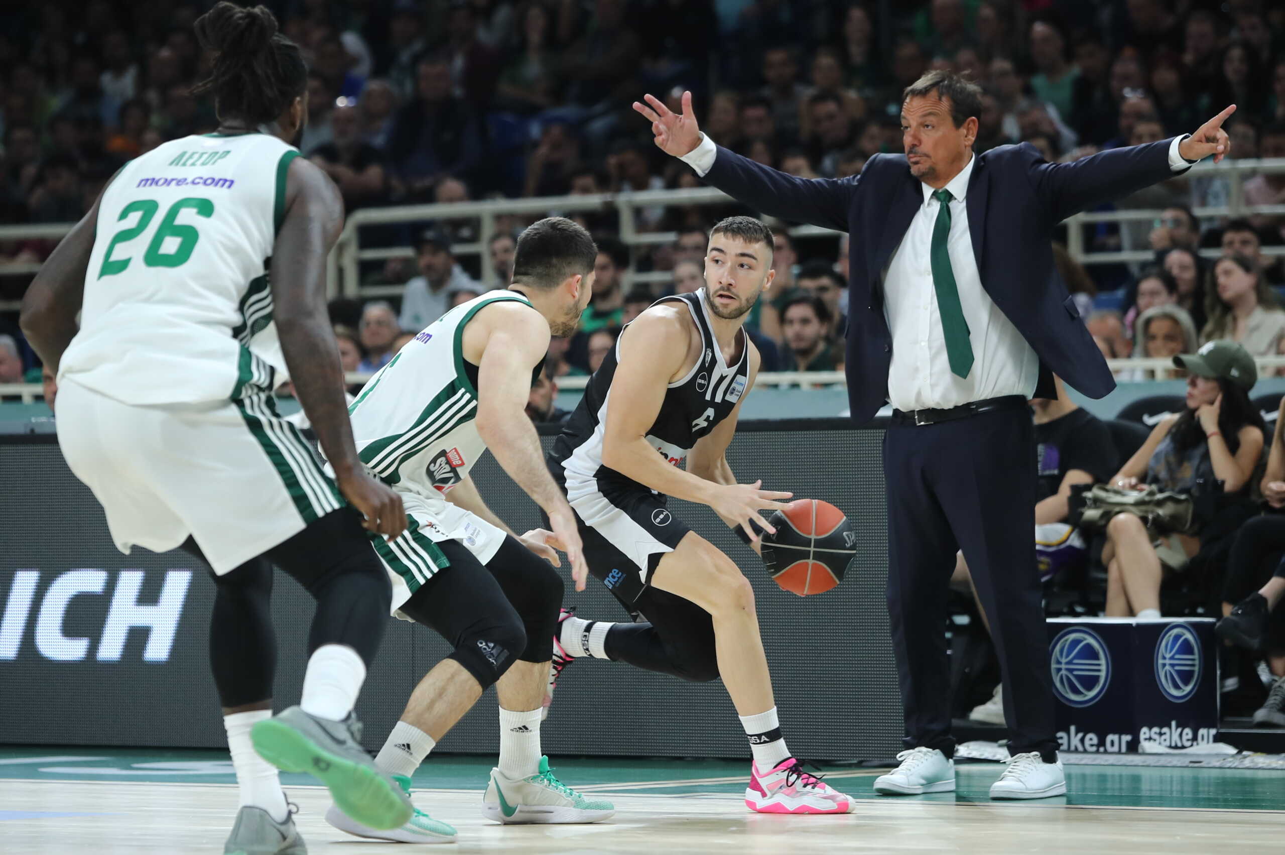 BASKET LEAGUE 2023-2024