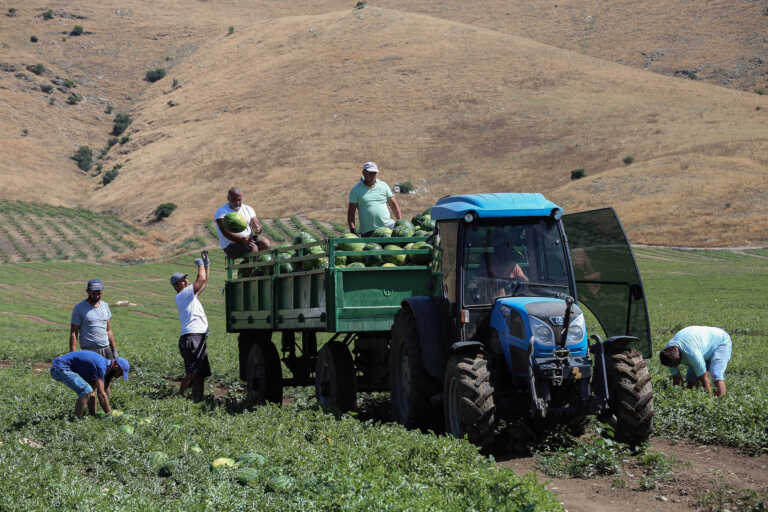 Αγρότες: Μέχρι τέλος Μαΐου η καταχώριση ποσοτήτων για τις συνδεδεμένες ενισχύσεις από τον ΟΠΕΚΕΠΕ