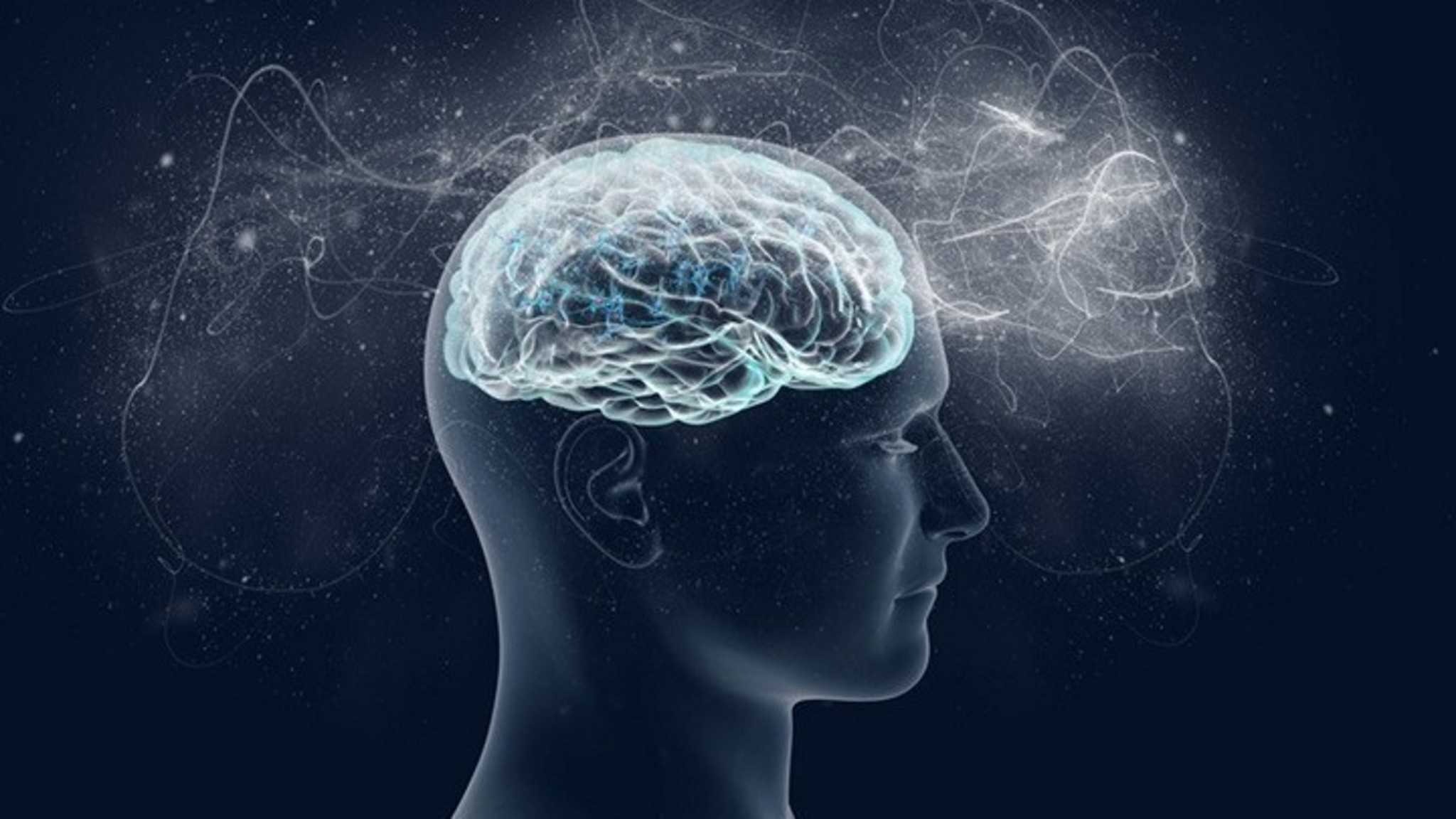 Ερευνητές του Χάρβαρντ και της Google δημιούργησαν τη μεγαλύτερη 3D ανακατασκευή τμήματος εγκεφάλου