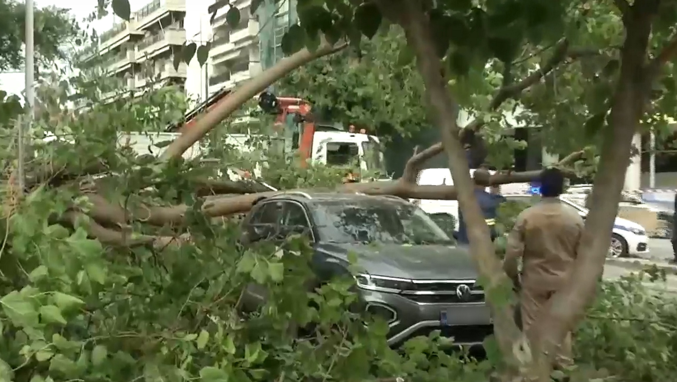 Θεσσαλονίκη: Δέντρο έπεσε πάνω σε αυτοκίνητα στην περιοχή των Δελφών, κινδύνεψε οδηγός