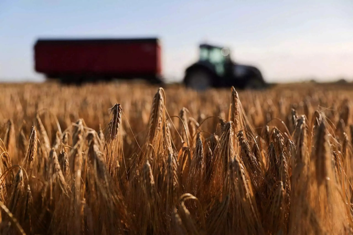 ΕΕ – Αγρότες: Εκκλήσεις για μηχανισμούς ασφαλείας προκειμένου να μην απορρυθμιστεί η αγορά από την ένταξη της Ουκρανίας