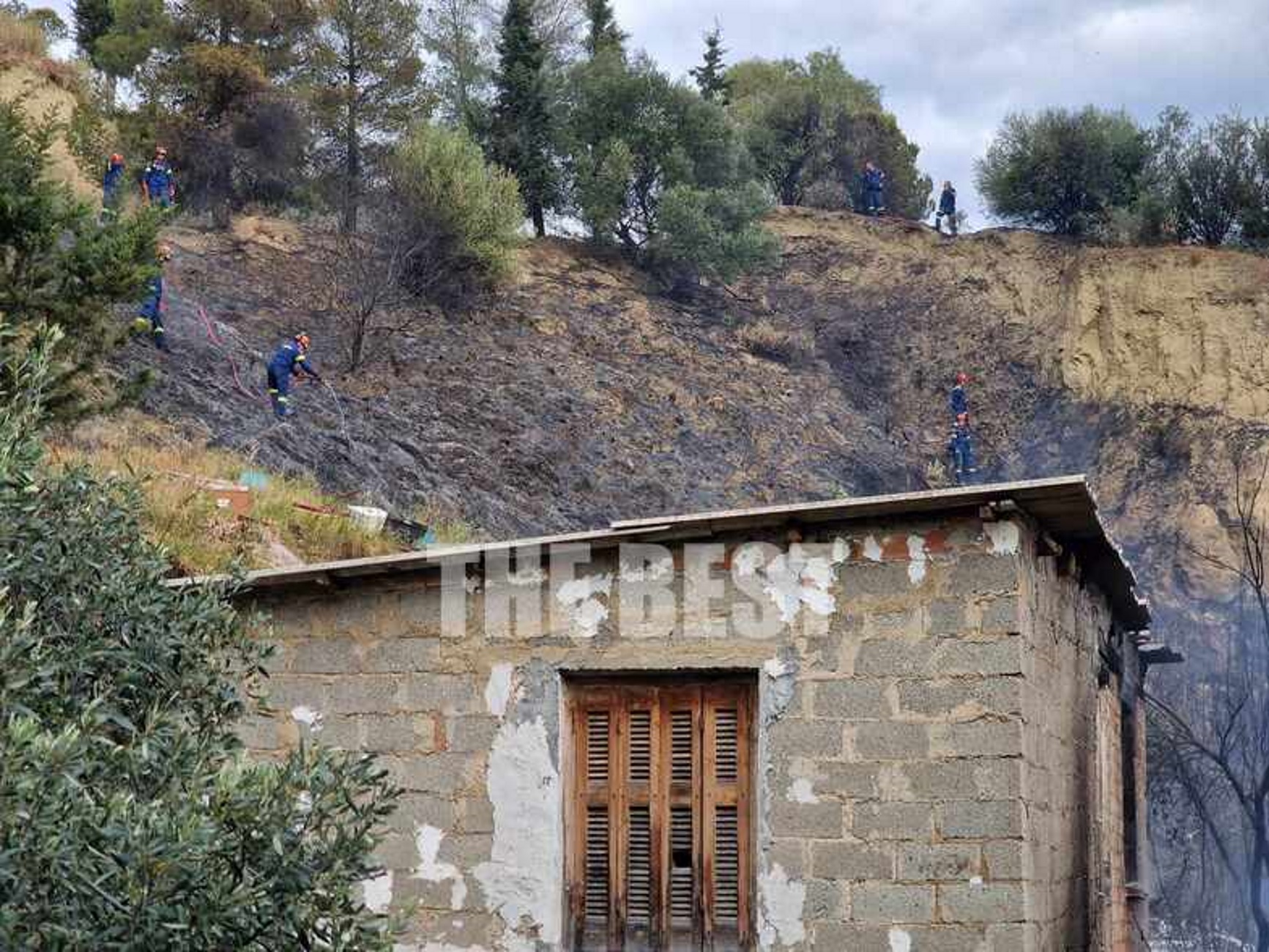 Φωτιά στην Πάτρα: Εικόνες από τη μάχη των πυροσβεστών στην περιοχή του Αγίου Φανουρίου
