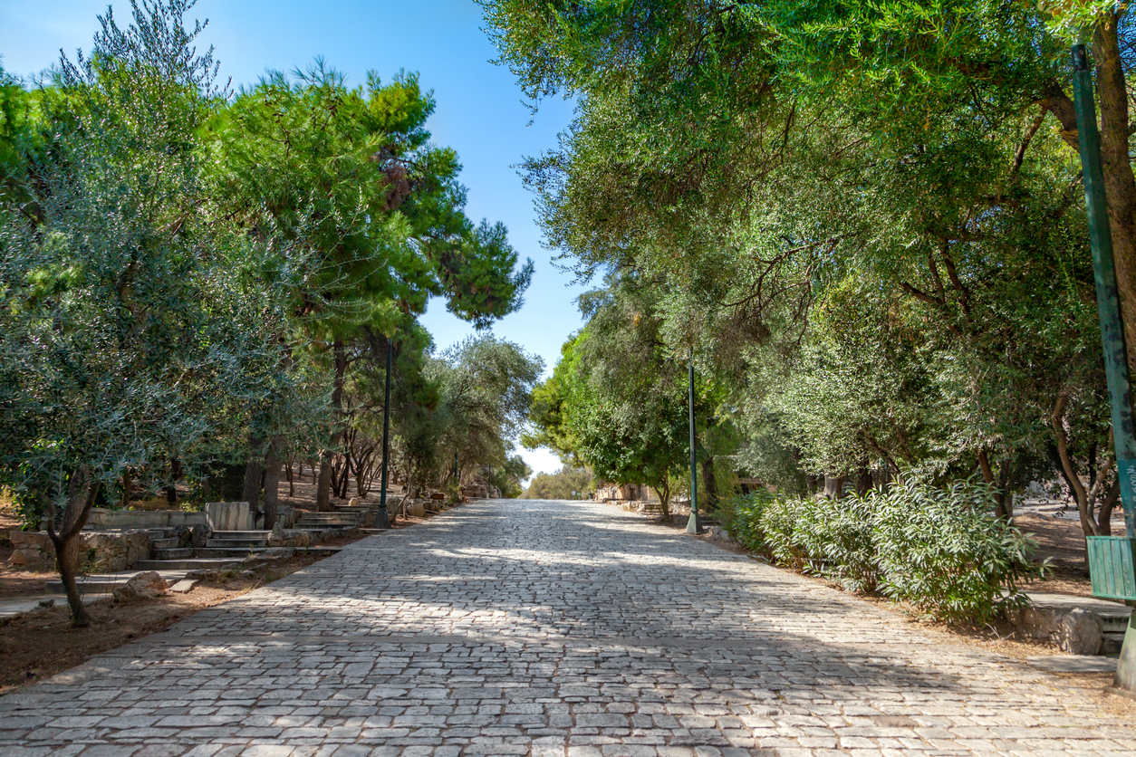 Stone walking path at the park, Greece
