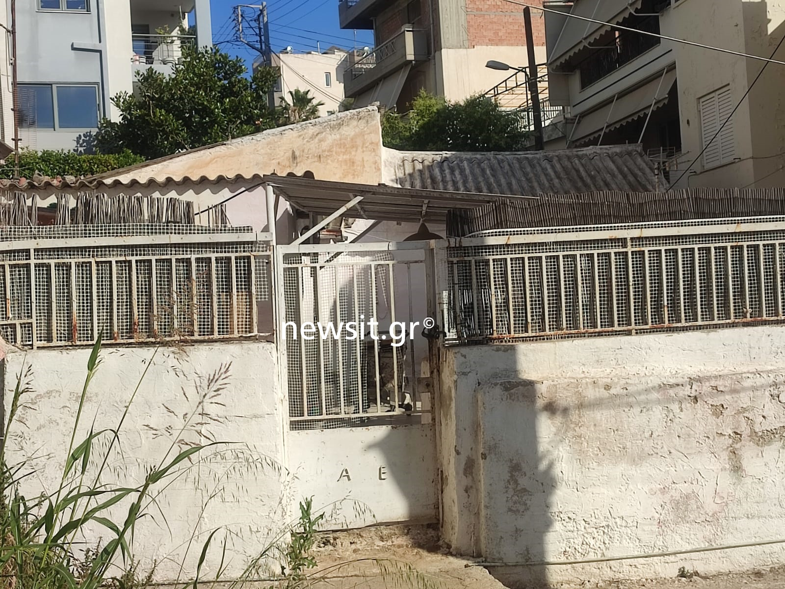 Δράμα στη Νίκαια: Απόπειρα αυτοκτονίας από την 57χρονη που κατήγγειλε τον σύζυγό της ότι την μαχαίρωσε