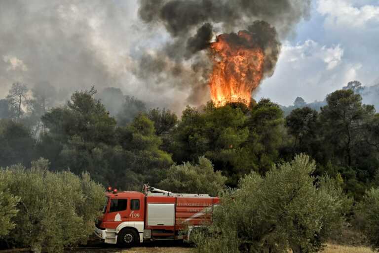 Φωτιά στην Προσύμνη Αργολίδας: Επιχειρούν ισχυρές πυροσβεστικές δυνάμεις