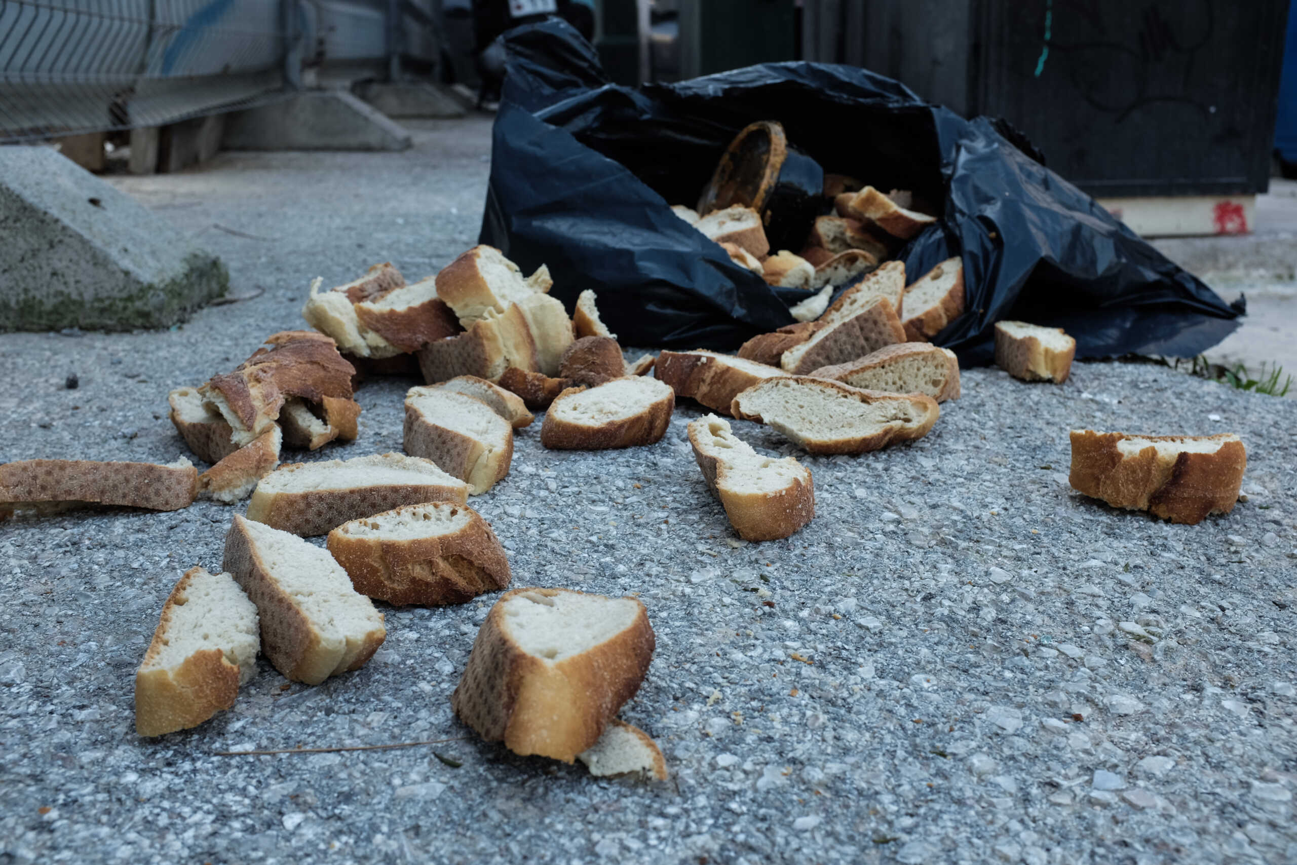 Ιαπωνία: Ψωμί με υπολείμματα αρουραίου, αποσύρονται χιλιάδες συσκευασίες