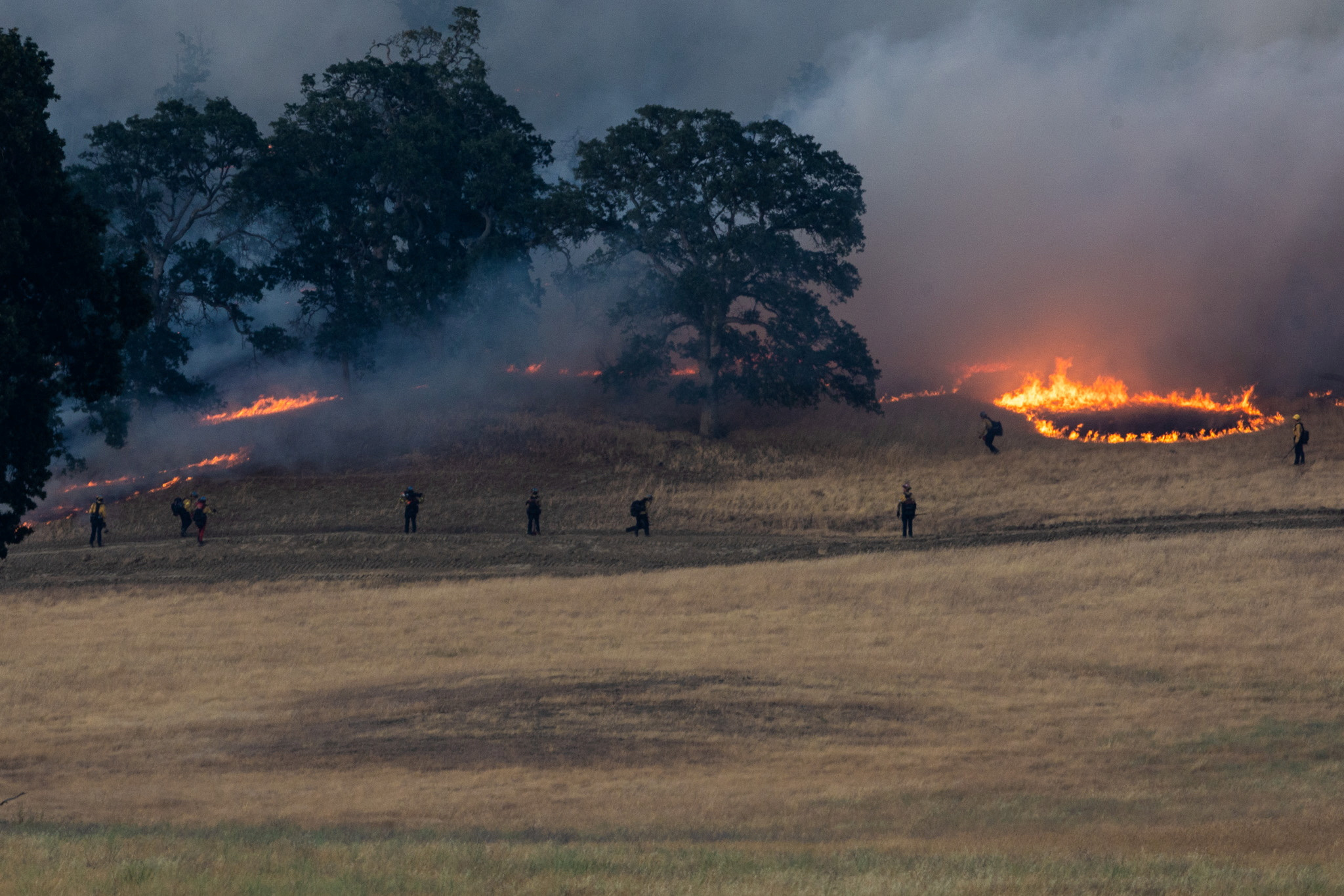Firefighters battle the Sites fire near Lodoga, California, U.S., June 17, 2024. REUTERS