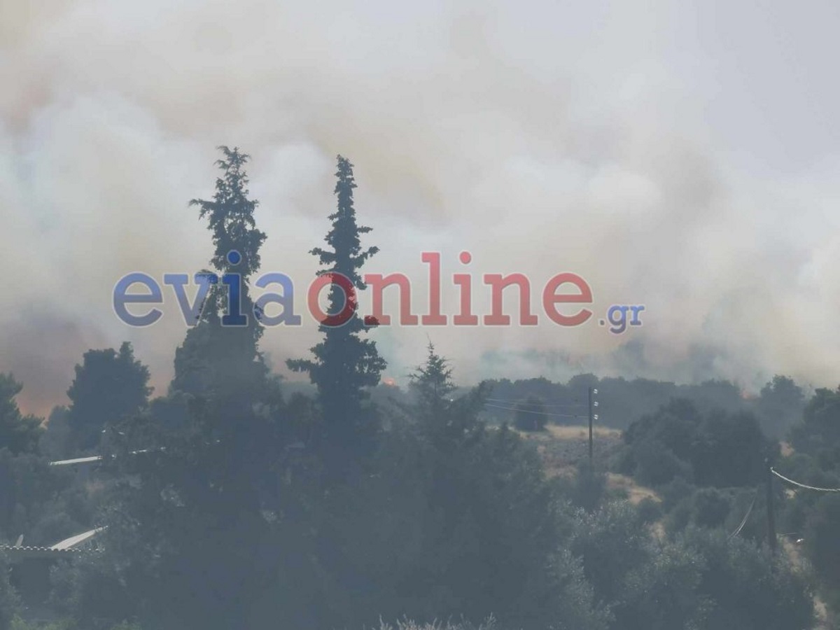 Φωτιά στην Εύβοια κοντά στο χωριό Κοντοδεσπότι – Μάχη από γη και αέρα με πολλά μποφόρ