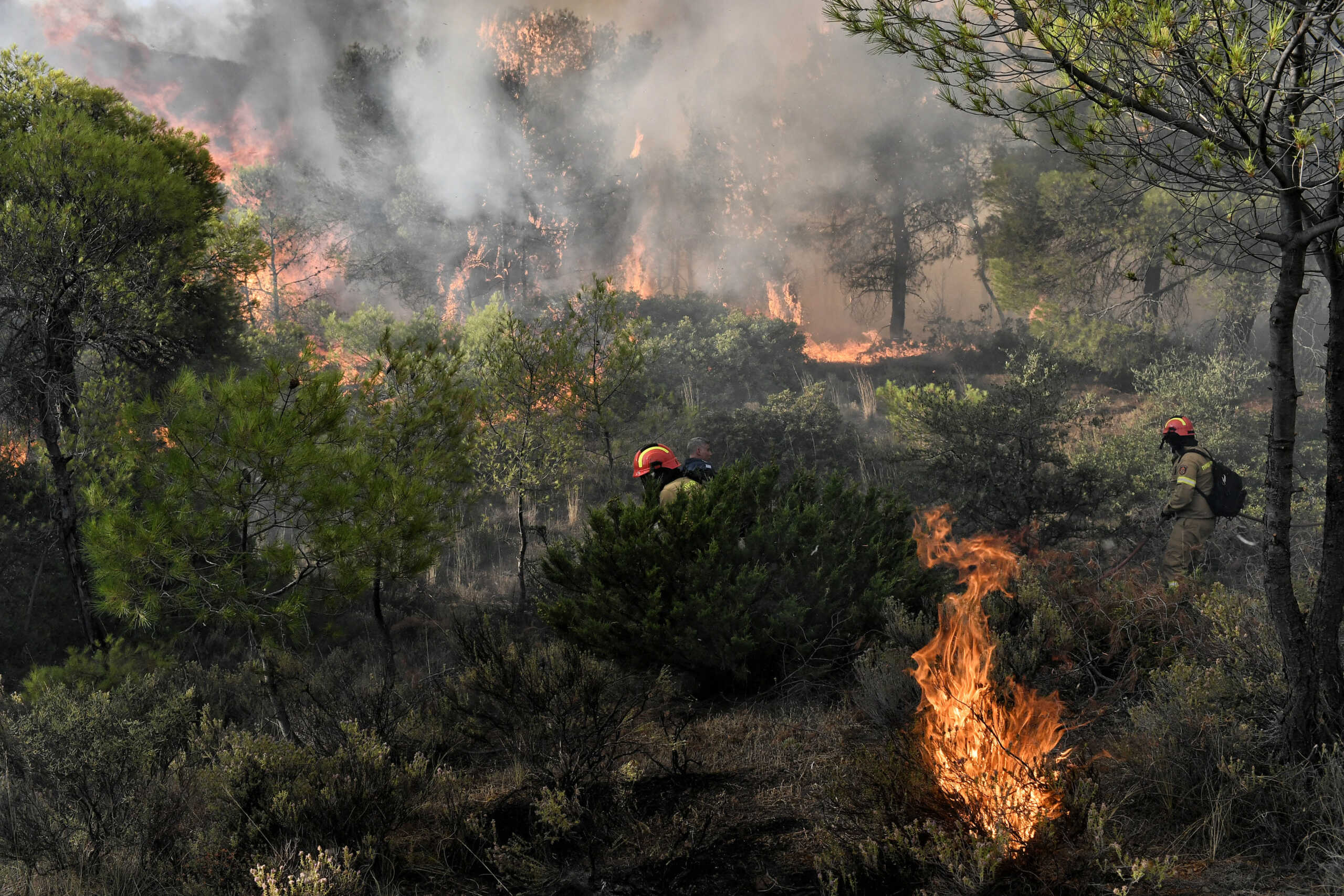 ΦΩΤΙΑ ΣΕ ΔΑΣΙΚΗ ΕΚΤΑΣΗ ΣΤΗ ΚΑΛΛΙΘΕΑ ΛΟΥΤΡΑΚΙΟΥ (EUROKINISSI