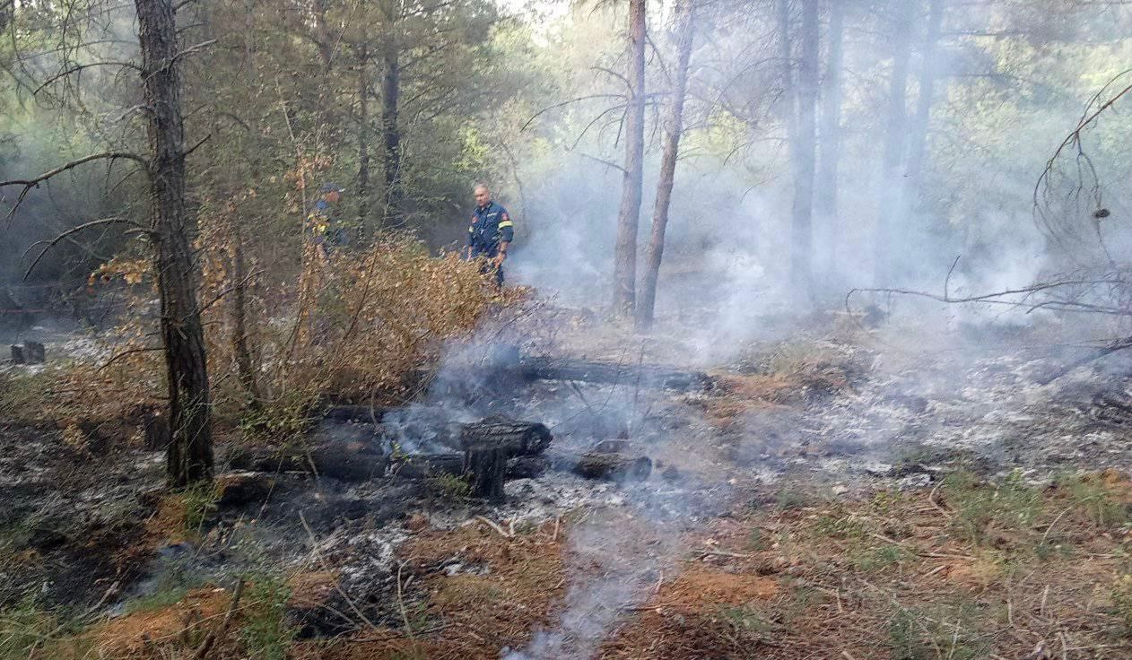 Θεσσαλονίκη: Προσήχθη ύποπτος για εμπρησμό στο δάσος του Σέιχ Σου