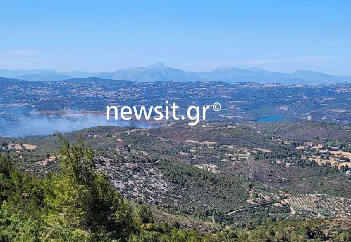 Σταμάτα: Φωτογραφία ντοκουμέντο από το σημείο που ξέσπασε η φωτιά