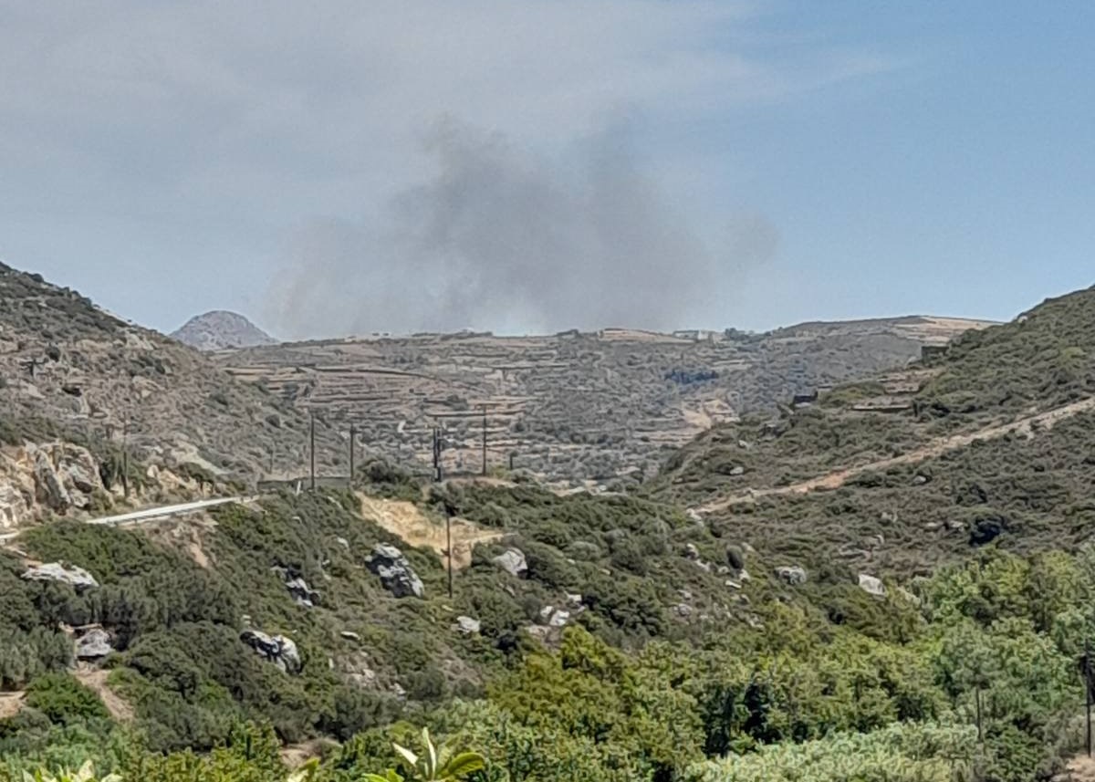 Φωτιά στη Νάξο στην περιοχή Σαγκρί, εναέρια μέσα στο σημείο