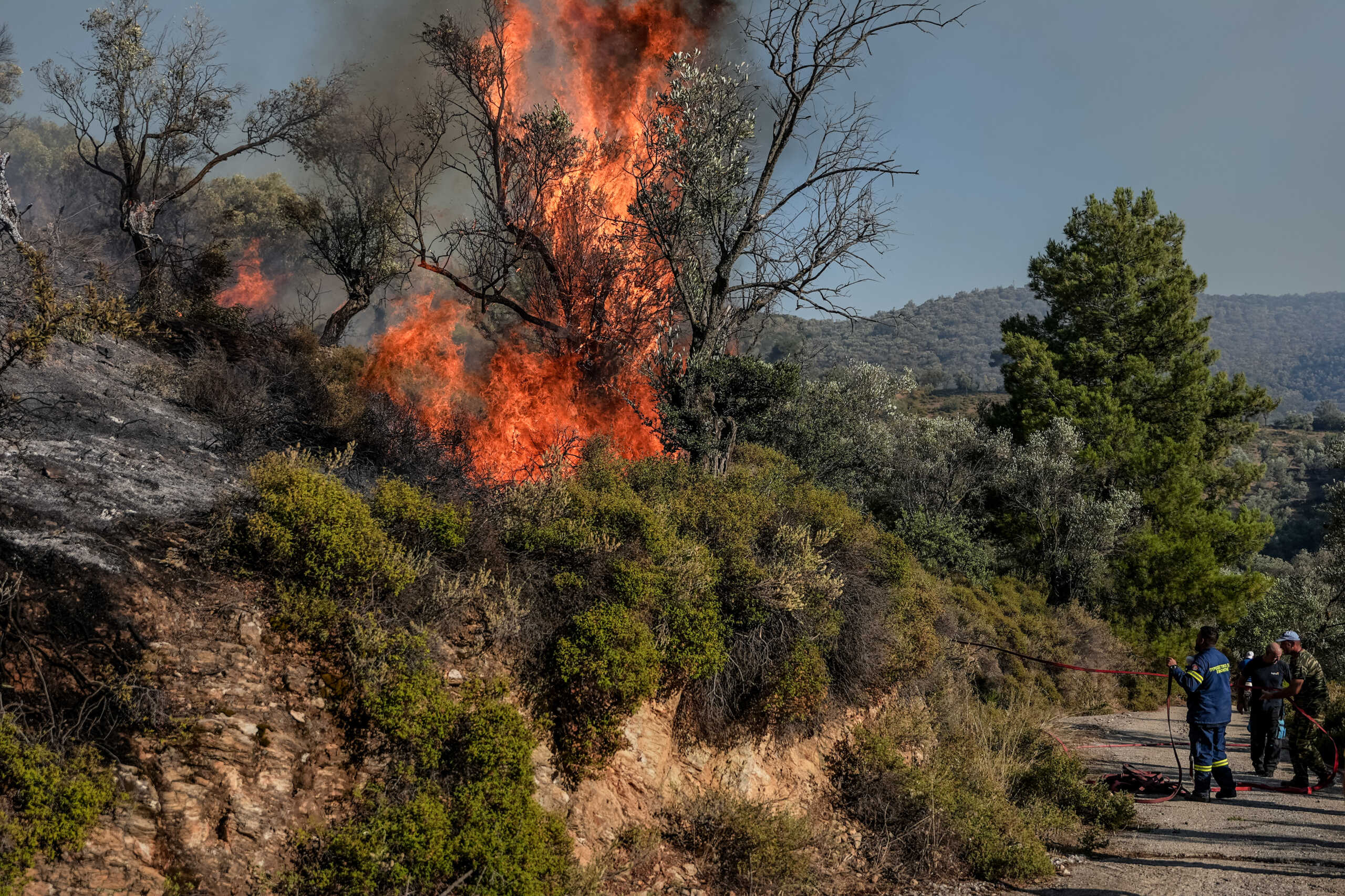 Πυρκαγιά στη Μόρια Λέσβου.  Τετάρτη 19 Ιουνίου 2024 (ΠΑΝΑΓΙΩΤΗΣ ΜΠΑΛΑΣΚΑΣ