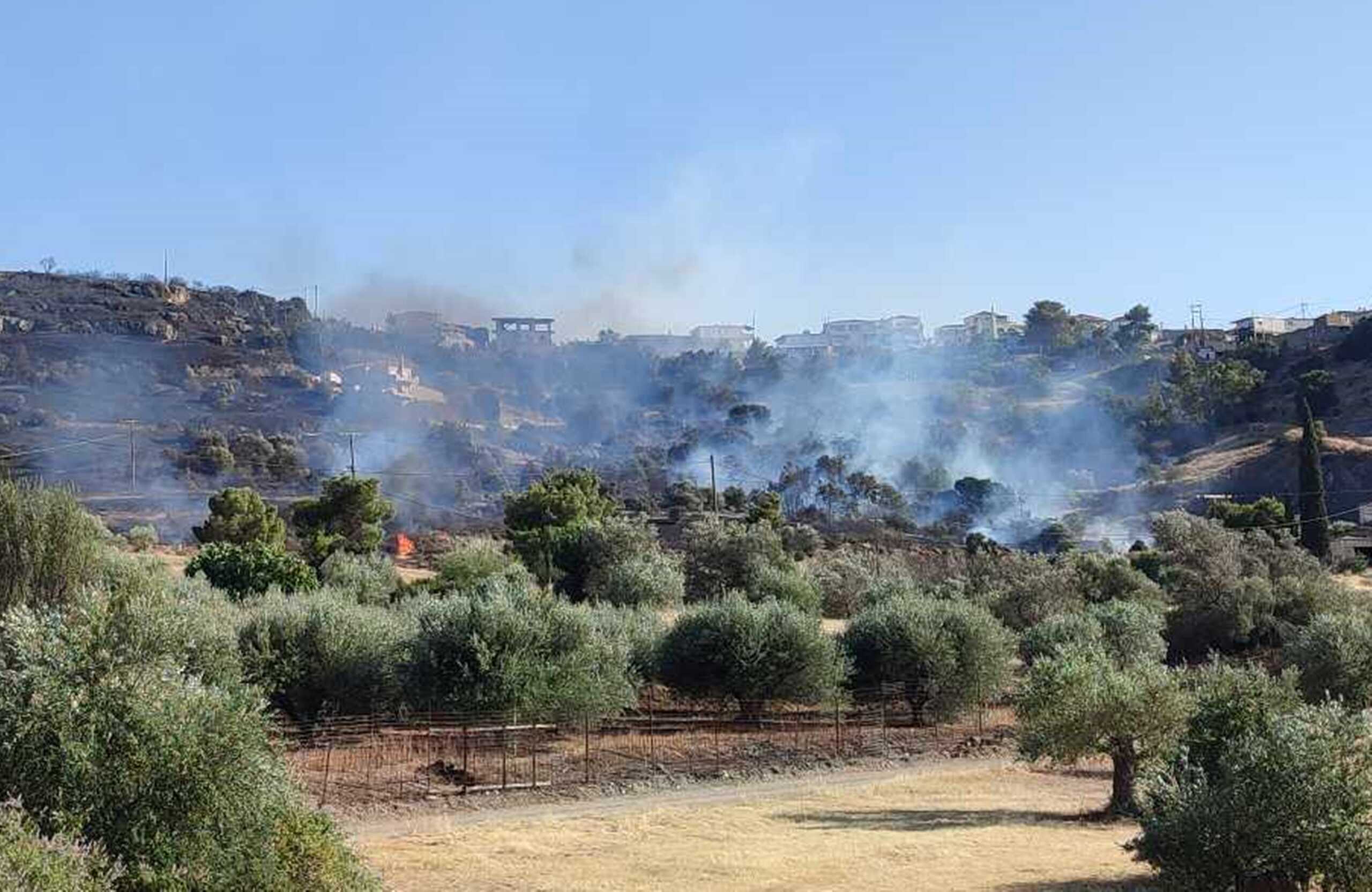 ΑΡΓΟΛΙΔΑ - ΠΥΡΚΑΓΙΑ ΣΤΟ ΚΡΑΝΙΔΙ. (EUROKINISSI-ΛΕΥΤΕΡΗΣ ΔΑΓΡΕΣ)
