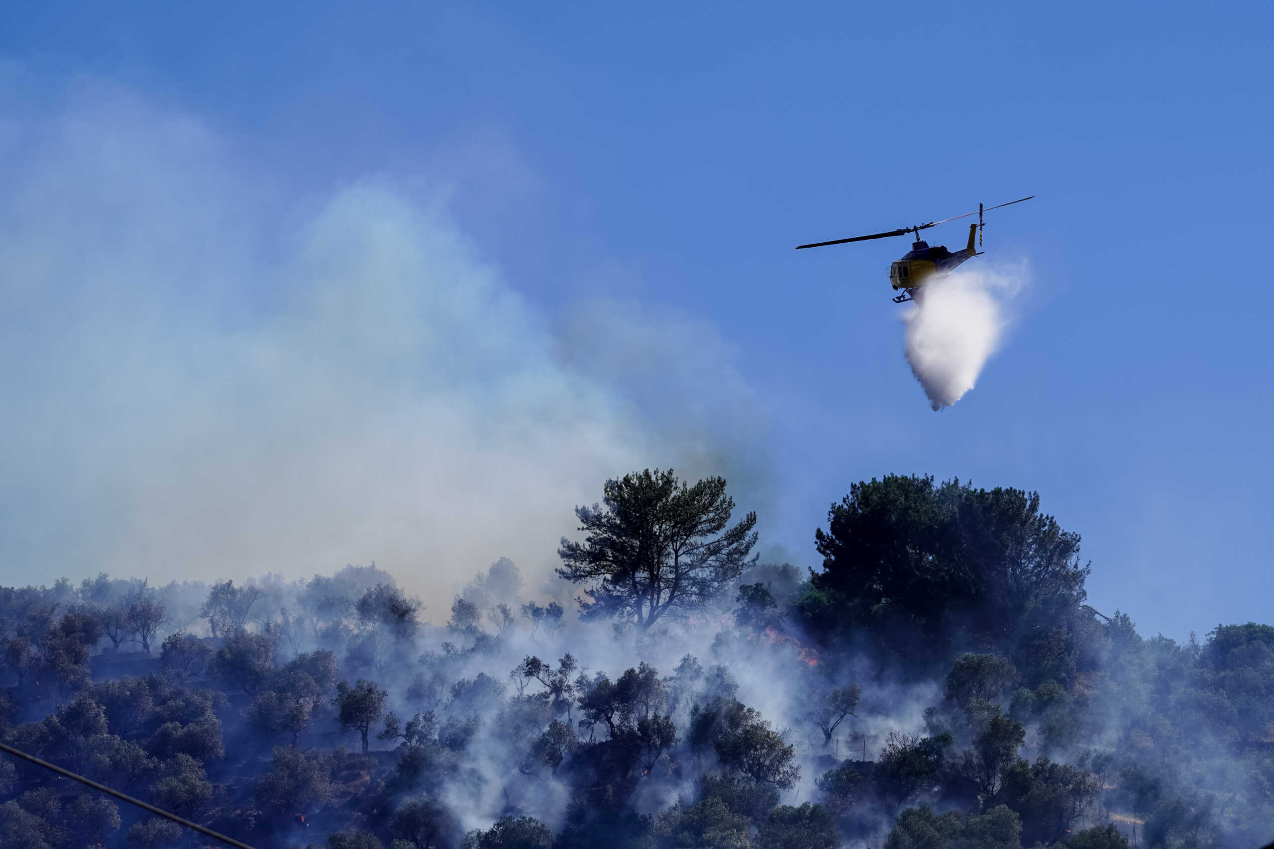 Πυρκαγιά στη Μόρια Λέσβου.  Τετάρτη 19 Ιουνίου 2024 (ΠΑΝΑΓΙΩΤΗΣ ΜΠΑΛΑΣΚΑΣ
