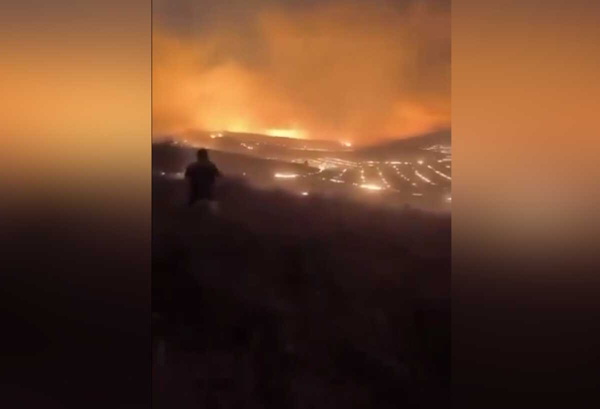 Τουρκία: Πέντε νεκροί, δεκάδες νεκρά ζώα και τραυματίες από τεράστιες φωτιές