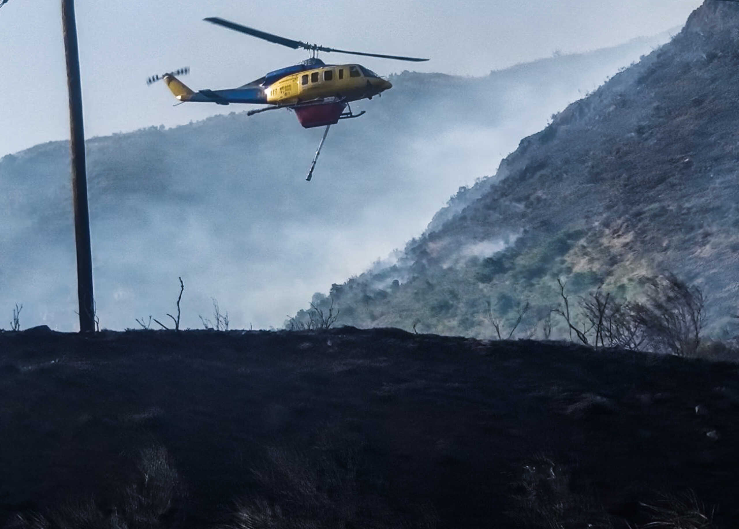 Πυρκαγιά σε δασική έκταση στο Ορθοβούνι Καλαμπάκας.  Τετάρτη 26 Ιουνίου 2024  (EUROKINISSI)