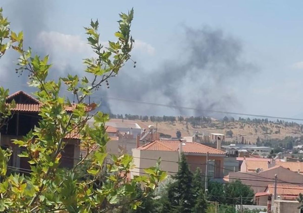 Φωτιά στον Ασπρόπυργο – Μήνυμα του 112 για απομάκρυνση κατοίκων από τη Νέα Ζωή