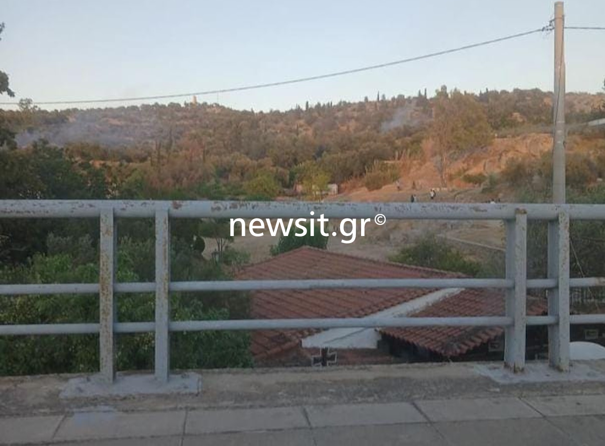 Φωτιά στο λόφο Φιλοπάππου, άμεση επέμβαση της πυροσβεστικής